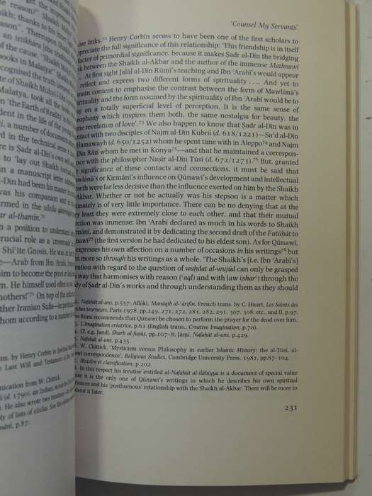 Quest For The Red Sulphur: The Life Of Ibn 'Arabi - Claude Addas