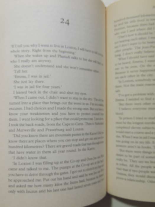 Blood Safari - Deon Meyer   (1st American Edition)2009