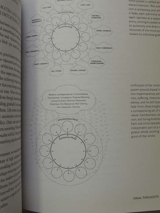 The Mind Illuminated: A Complete Meditation Guide Culadasa John Yates Ph.D, Matthew Immercut Ph.D