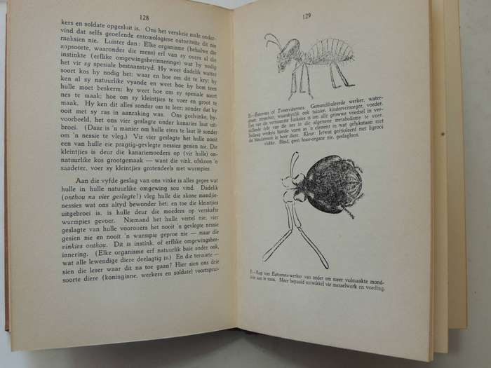Die Siel Van Die Mier - Eugene N. Marais     Tweede Druk 1938
