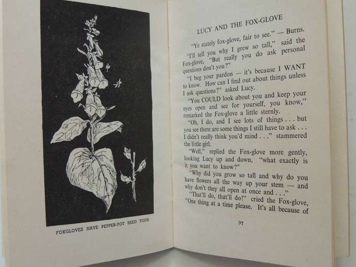 Wideawake Nature Stories - Margot Le Strange    VERY SCARCE