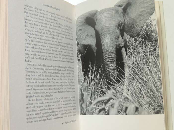 He And I And The Elephants - Bernhard Grzimek
