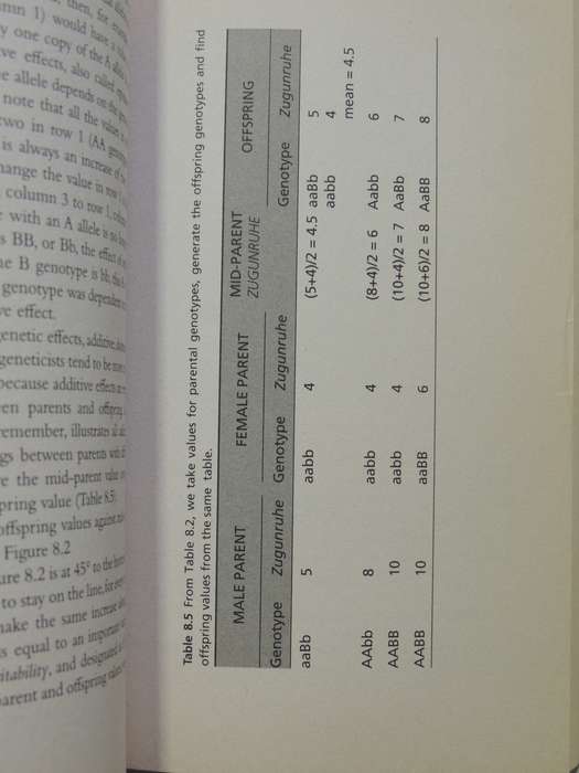 Animal Behavior- John Byers