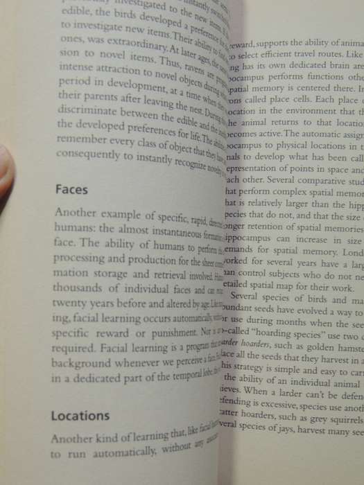 Animal Behavior- John Byers