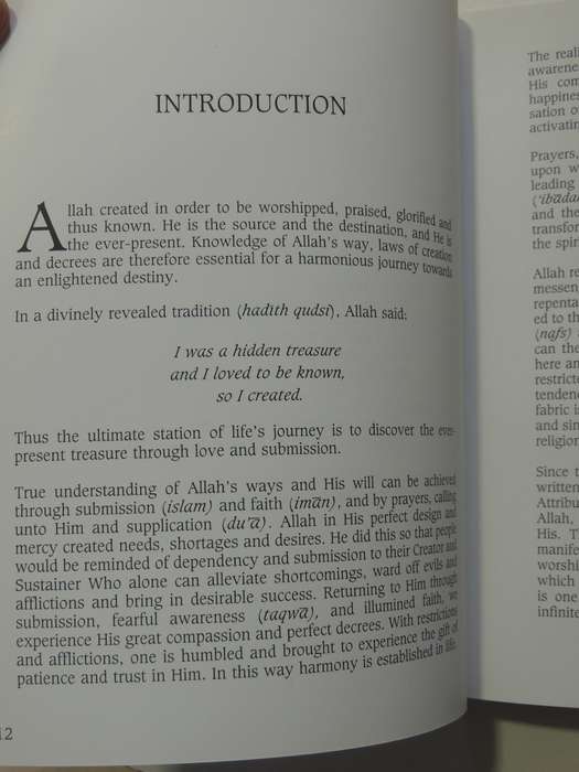 Calling Allah By His Most Beautiful Names - Shaykh Fadhlalla Haeri