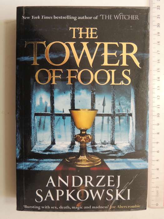 The Tower of Fools - Andrzej Sapkowski
