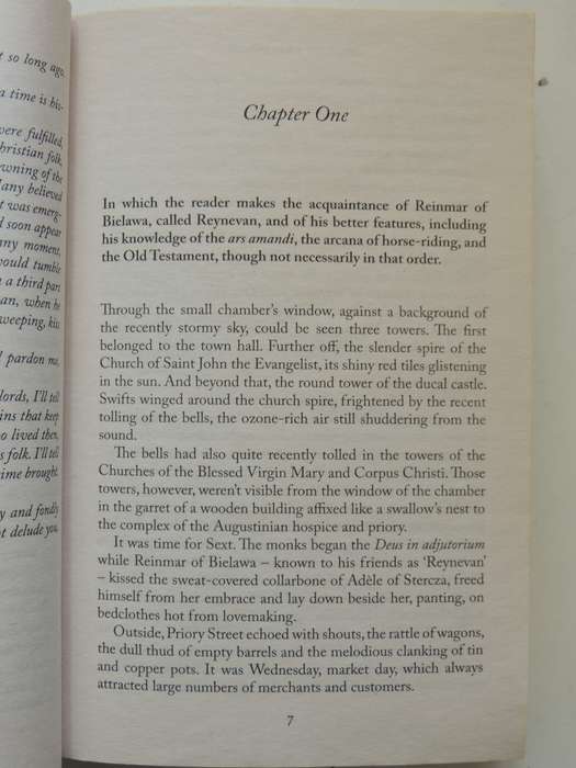 The Tower of Fools - Andrzej Sapkowski