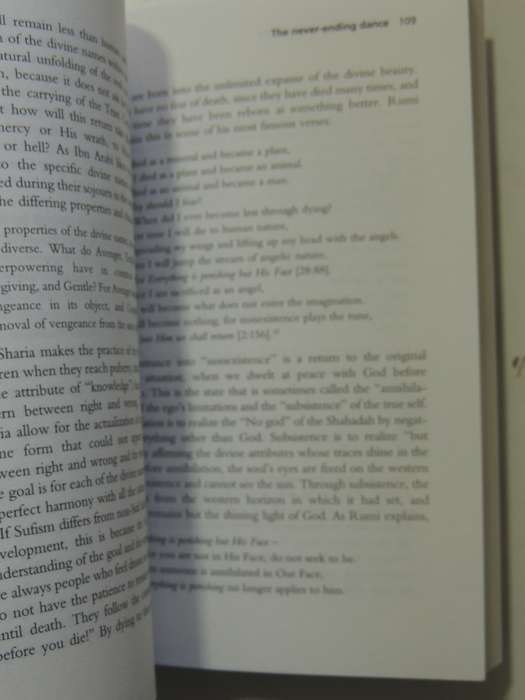 Sufism : A Beginners Guides- William C. Chittick