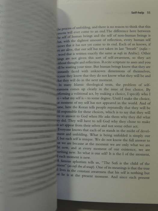 Sufism : A Beginners Guides- William C. Chittick