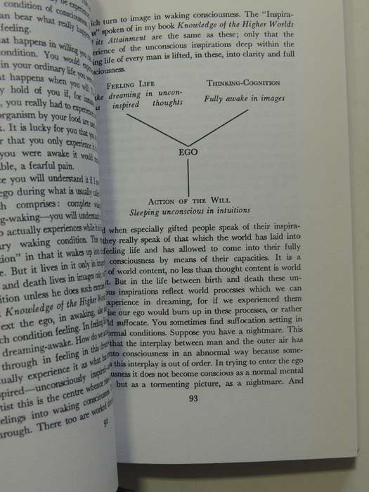 Study Of Man: General Education Course - Rudolf Steiner