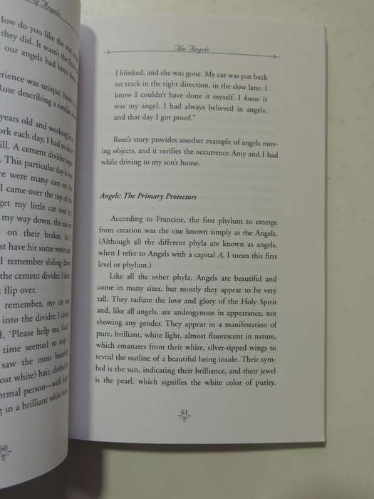 Sylvia Brown's Book of Angels - Sylvia Brown