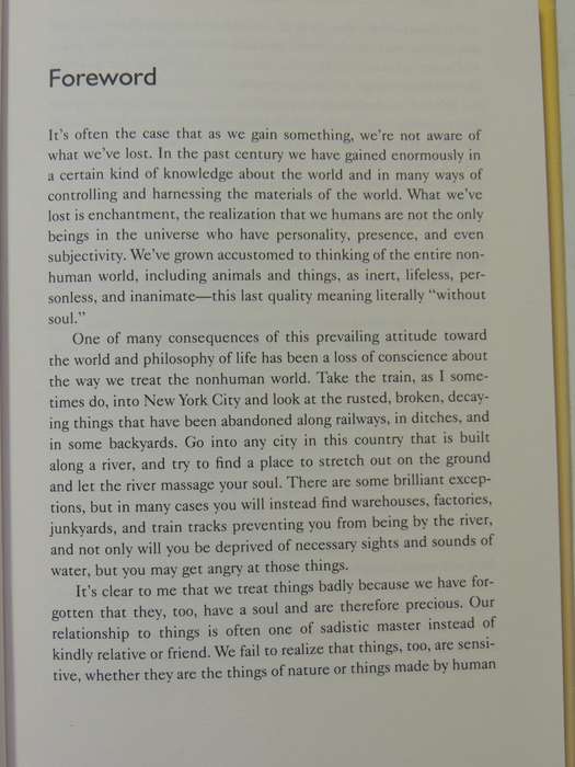 Earth Angels - Engaging The Sacred In Everyday Things- Shaun McNiff
