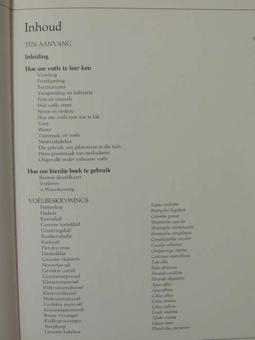 Newman seTuinvoels- Kenneth Newman    AFRIKAANS