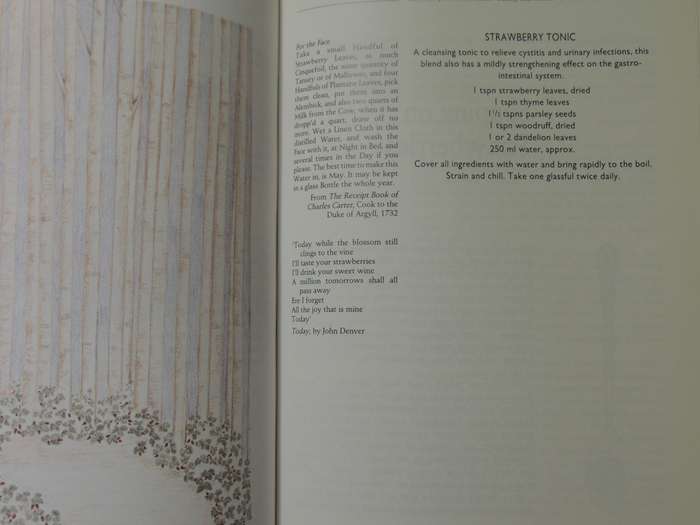 Strawberries - Pamela Allardice