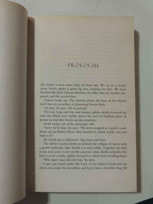 When a Crocodile Eats the Sun - Peter Godwin
