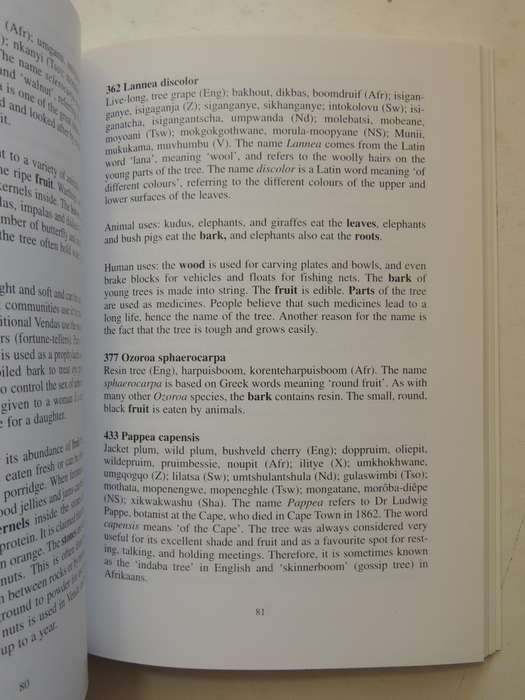 Tswaing Meteorite Crater: An Introduction To The Natural And Cultural History Of The Tswaing Region