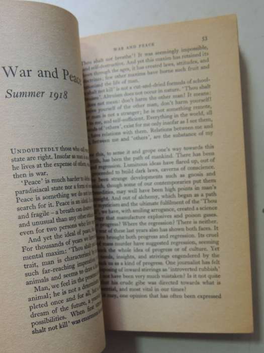 If The War Goes On - Herman Hesse