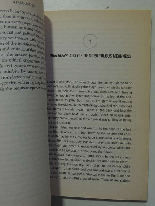 How To Read Joyce - Derek Attridge