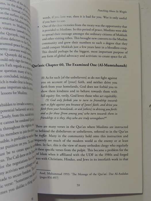 Punching Above Its Weight: The Story Of The Call Of Islam - Adli Jacobs