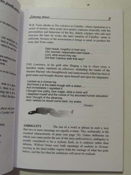 Your Friendly Guide To Literary Terms - J.O. Hendry