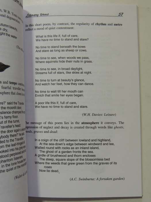 Your Friendly Guide To Literary Terms - J.O. Hendry
