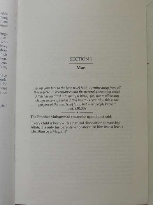 Leaves From A Sufi Journal