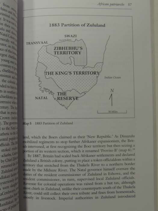Blood From Your Children: The Colonial Origins Of Generational Conflict In SA - Benedict Carton