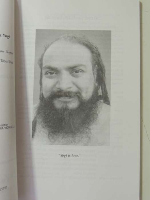 Divine Play: The Silent Teachings Of Shiva Bala Yogi - Tom Palotas