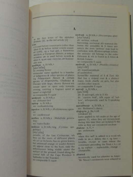 A Dictionary Of English Usage In Southern Africa - D.R. Beeton & Helen Dorner