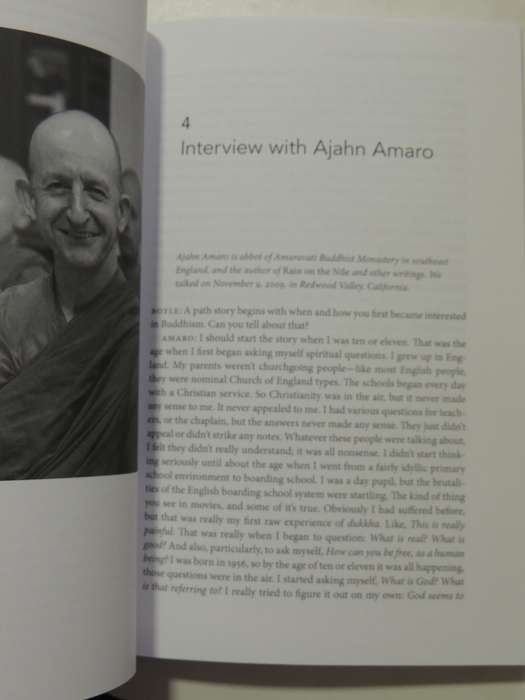 Realizing Awakened Consciousness: Interviews With Buddhist Teachers ...Mind - Rob Nairn
