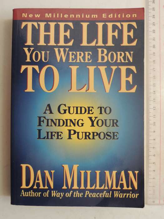 The Life You Were Born To Live - A Guide To Finding Your Life Purpose - Dan Millman
