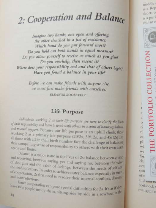 The Life You Were Born To Live - A Guide To Finding Your Life Purpose - Dan Millman