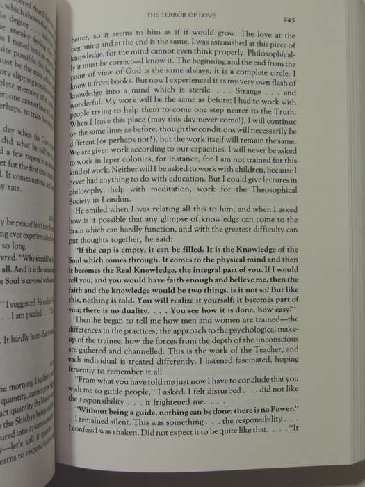 Daughter Of Fire: A Diary Of A Spiritual Training With A Sufi Master - Irina Tweedie