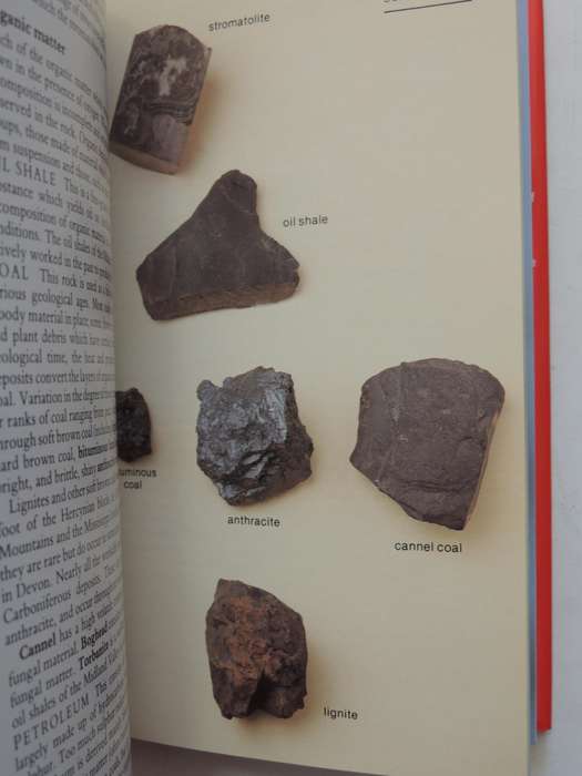Practical Guide To Rocks & Minerals - David Wright PhD & Pat Bell