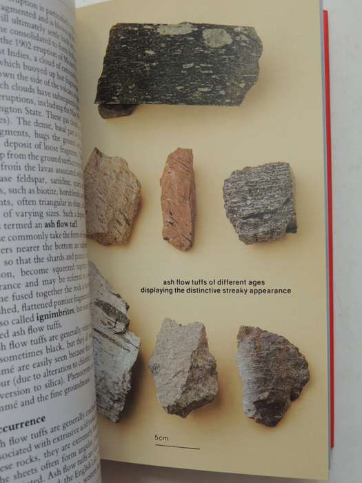 Practical Guide To Rocks & Minerals - David Wright PhD & Pat Bell