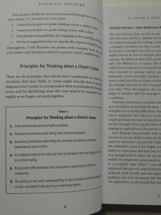 Executive Coaching : Practices & Perspective - Catherine Fitzgerald & Jennifer Garvey Berger