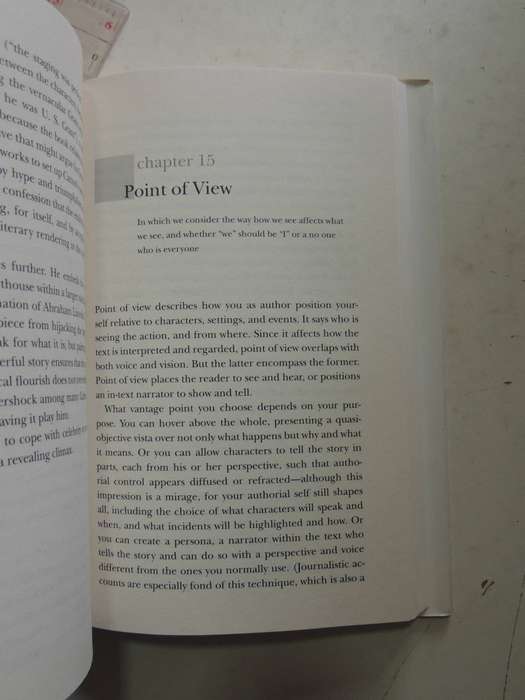 Voice & Vision: A Guide To Writing History And Other Serious Nonfiction - Stephen J. Pyne