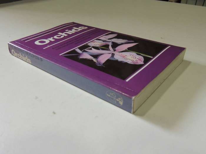 The Macdonald Encyclopedia Of Orchids - Alberto Fanfani