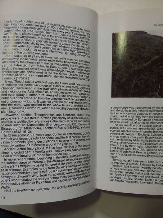 The Macdonald Encyclopedia Of Orchids - Alberto Fanfani