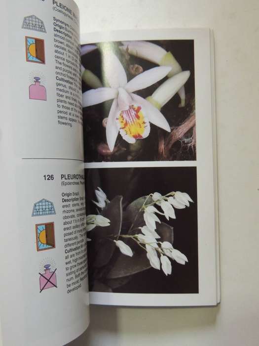 The Macdonald Encyclopedia Of Orchids - Alberto Fanfani