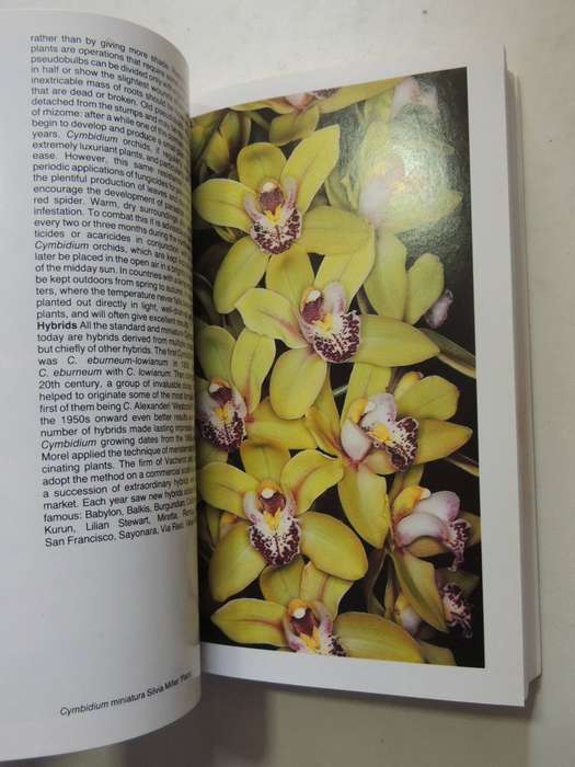 The Macdonald Encyclopedia Of Orchids - Alberto Fanfani