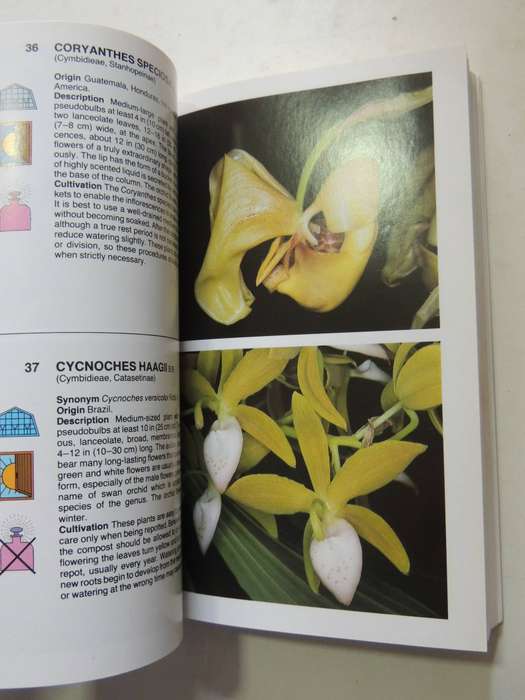The Macdonald Encyclopedia Of Orchids - Alberto Fanfani