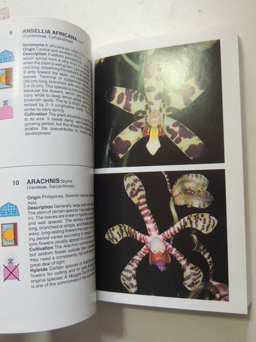 The Macdonald Encyclopedia Of Orchids - Alberto Fanfani