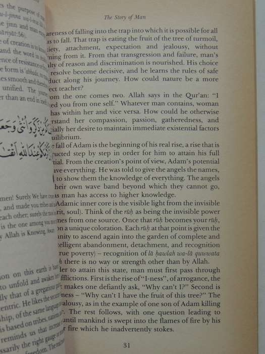 Journey To The Universe As Expounded In The Qur'an - Shaykh Fadhlalla Haeri
