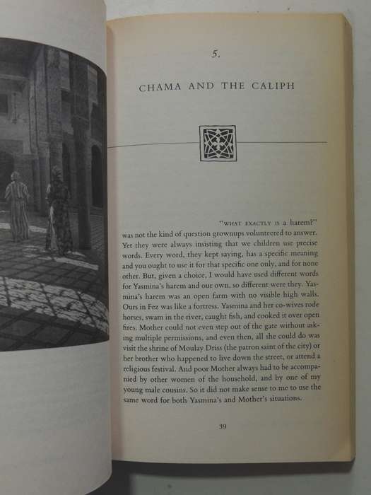 Dreams Of Trespass: Tales Of A Harem Childhood - Fatima Mernissi