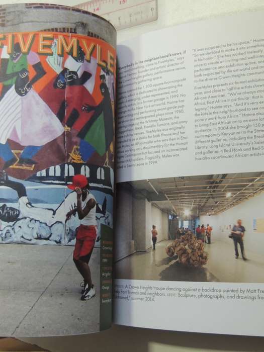 Brooklyn Spaces: 50 Hubs Of Culture And Creativity - Orianna Leckert