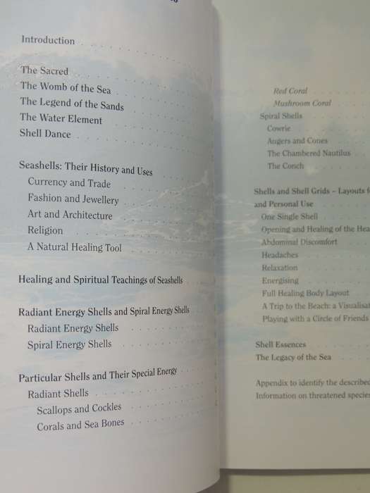 The Healing Power Of Seashells - Daya Sarai Chocron