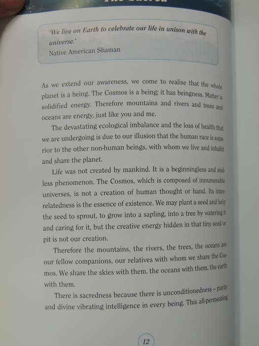 The Healing Power Of Seashells - Daya Sarai Chocron