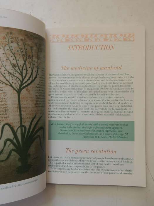 Headway Lifeguides: Herbalism - Frances Buning & Paul Hambly