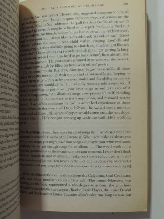 Can You Feel The Silence? Van Morrison A New Biography - Clinto Heylin